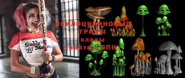 МДПВ Верхний Тагил