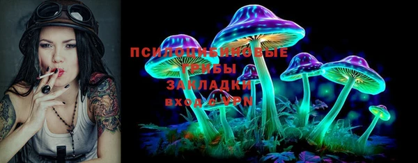 МДПВ Верхний Тагил