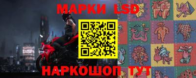 шишки Бузулук