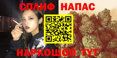 шишки Бузулук