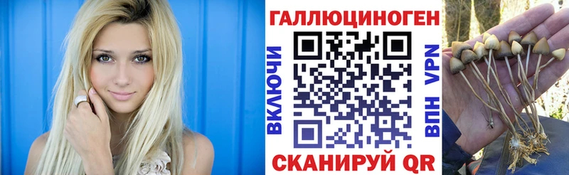 Галлюциногенные грибы Magic Shrooms  Воткинск 