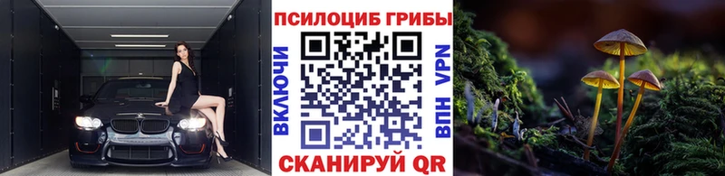Галлюциногенные грибы MAGIC MUSHROOMS Воткинск