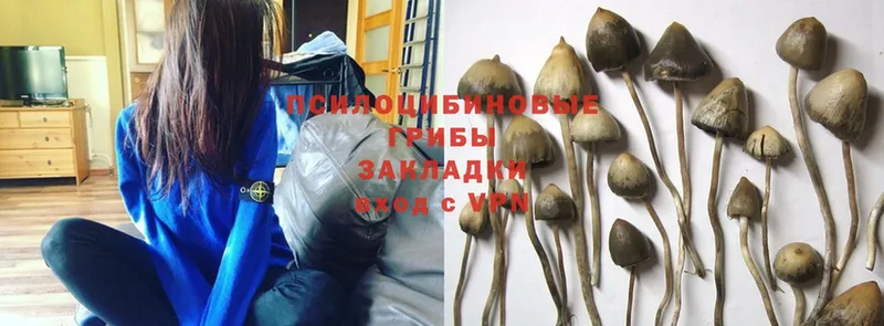 Псилоцибиновые грибы MAGIC MUSHROOMS  Воткинск 