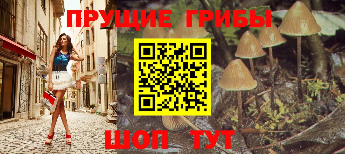 Галлюциногенные грибы Psilocybine cubensis  Вход с VPN  Воткинск  Галлюциногенные грибы мухоморы 
