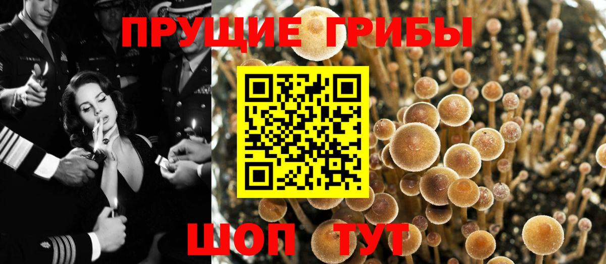 Галлюциногенные грибы Magic Shrooms Воткинск